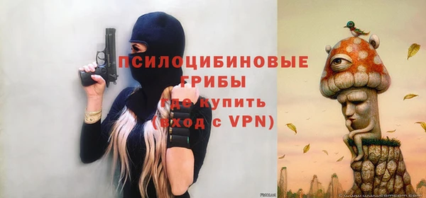 сатива Абинск