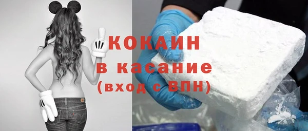 сатива Абинск
