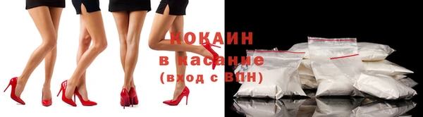 сатива Абинск